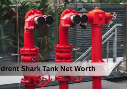 Hidrent Shark Tank Net Worth