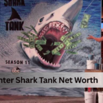 Mural Painter Shark Tank Net Worth