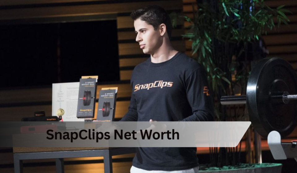 SnapClips Net Worth