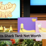Nana Hats Shark Tank Net Worth
