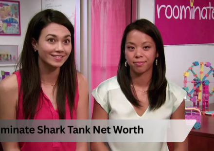 Roominate Shark Tank Net Worth: What the Company Was Really Worth