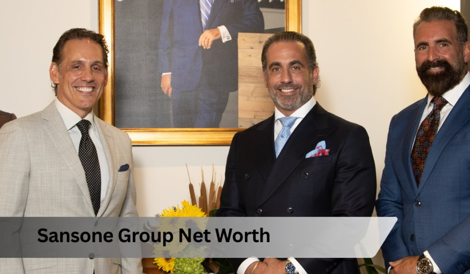 Sansone Group Net Worth