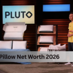 Pluto Pillow Net Worth 2026: The Real Numbers Behind the Custom Pillow Brand