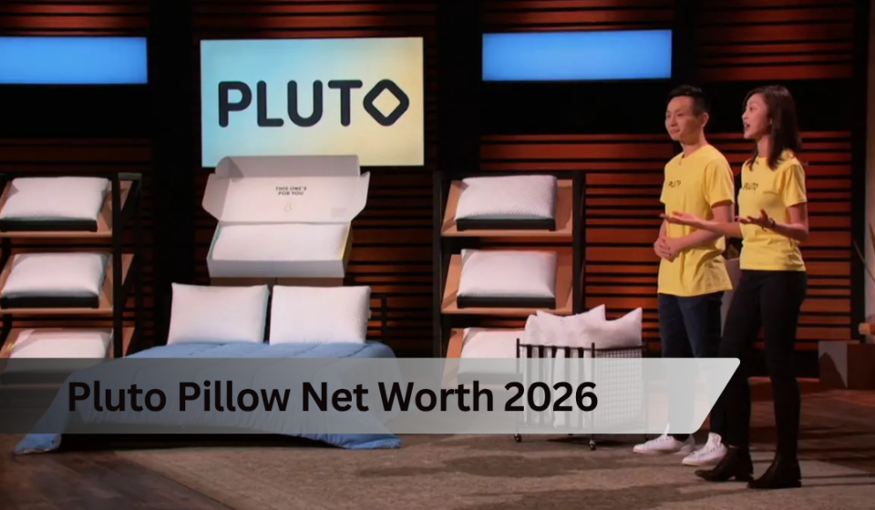 Pluto Pillow Net Worth 2026: The Real Numbers Behind the Custom Pillow Brand