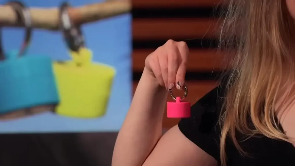 What is Lion Latch?