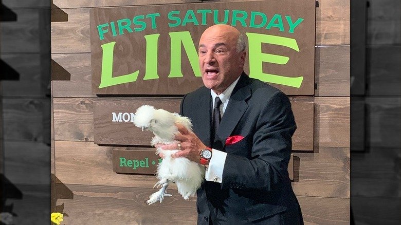 How much revenue does First Saturday Lime make now?